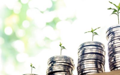 Top 5 Investment Tips from RaeLipskie Advisors