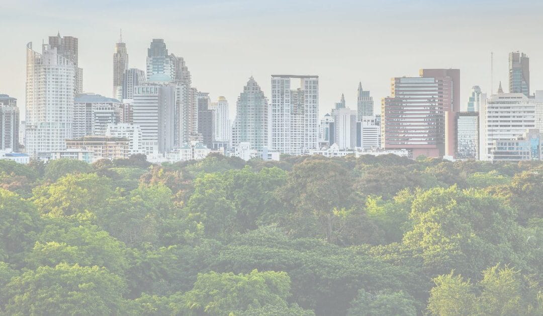 Aligning Wealth with Values: A Practical Guide to Responsible Investing